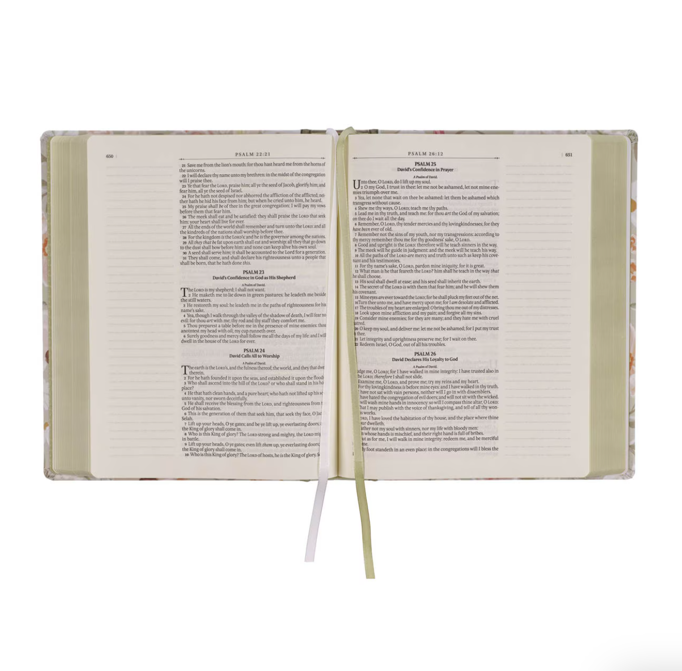 Amelia Theme Large Print Hard Cloth Cover KJV Note-Taking Bible